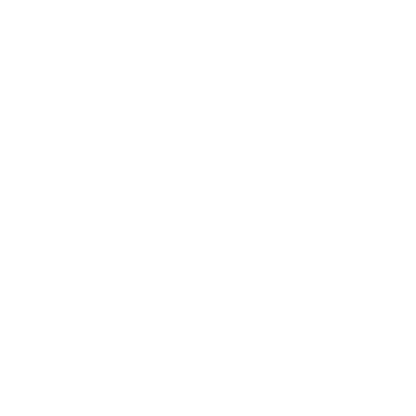 Face-to-face ethnography