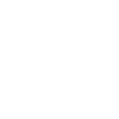 Online video in-depth interviews